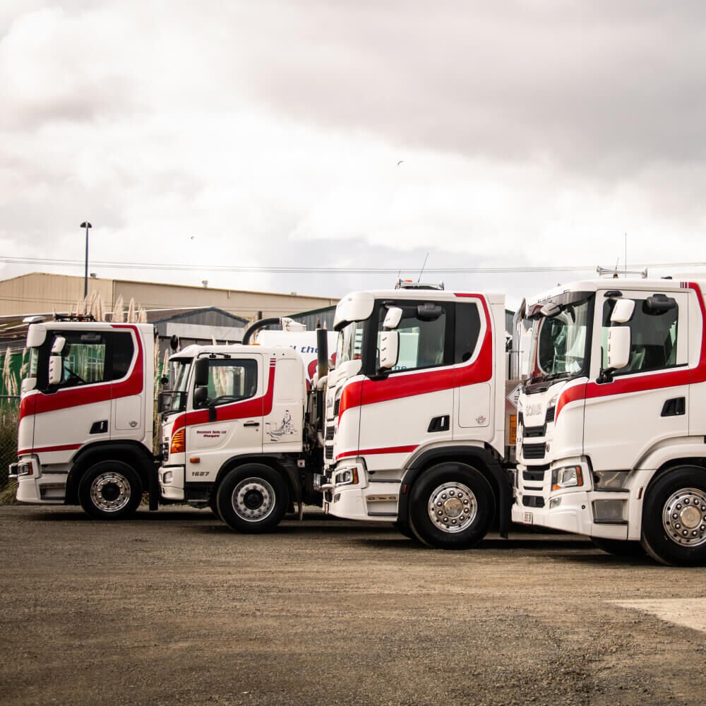 BogDoc Square image 3.jpg